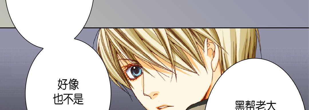 完美无缺的虏获第19话