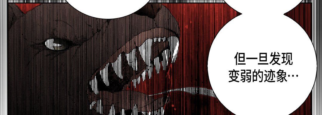 完美无缺的虏获第25话