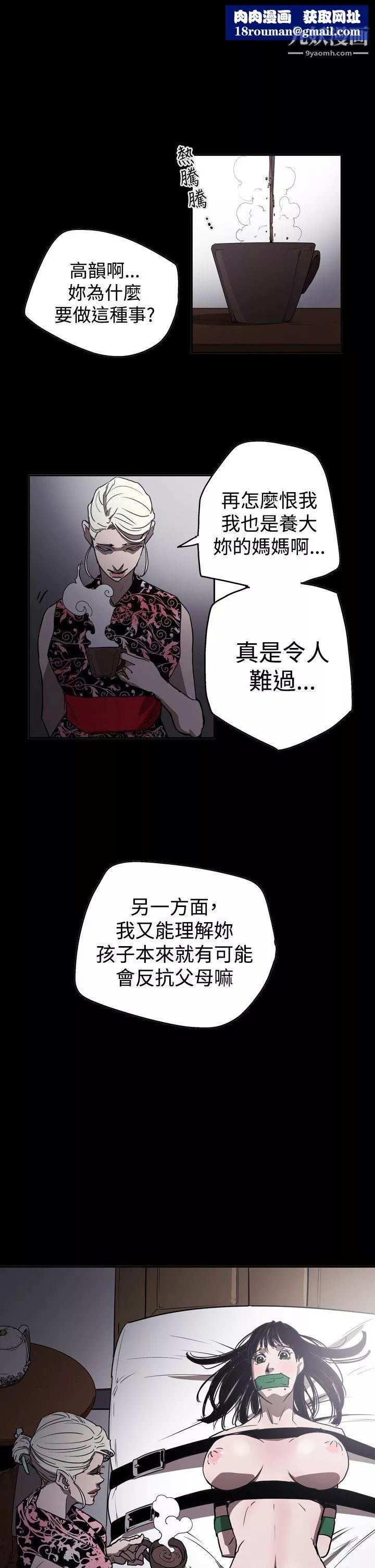 ACE:禁斷的詐欺之夜第2季-第27話