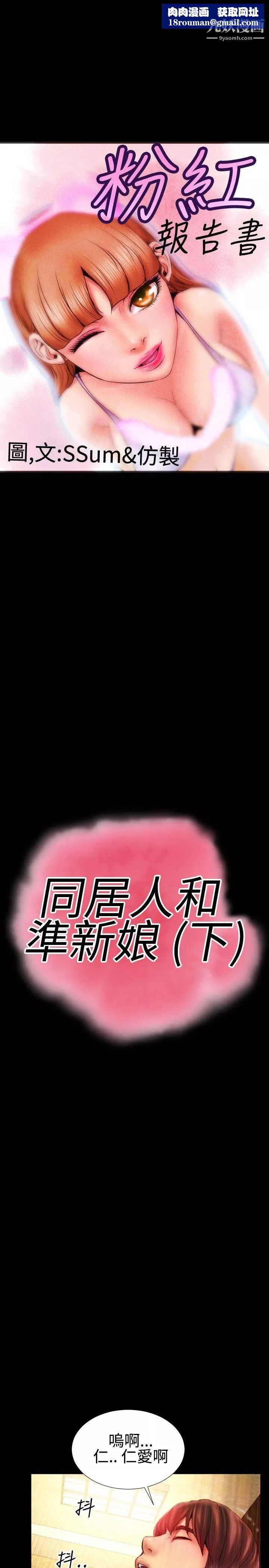 粉紅報告書最終話