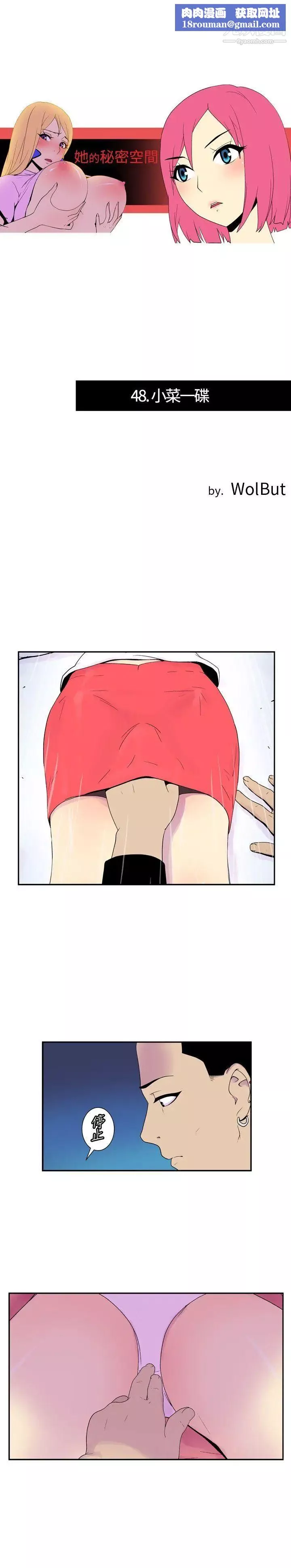 她的秘密空間第48話