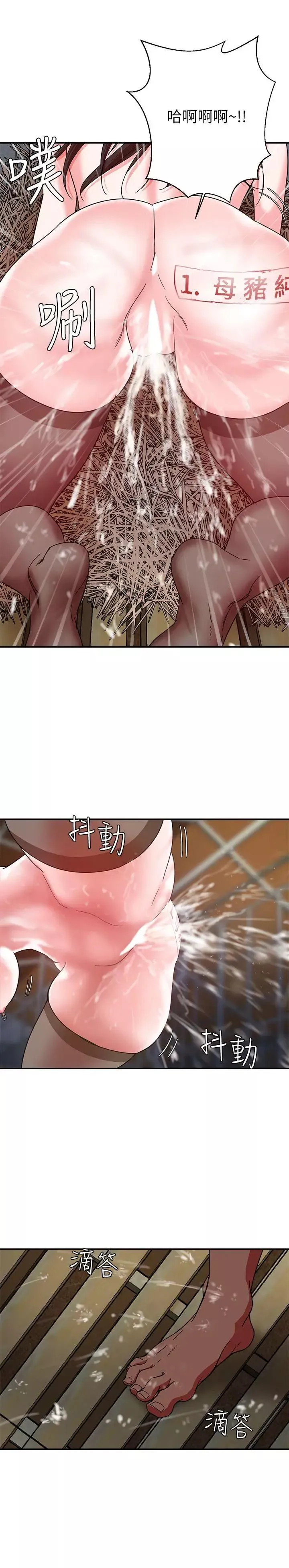 母豬養成計畫第4話-調教