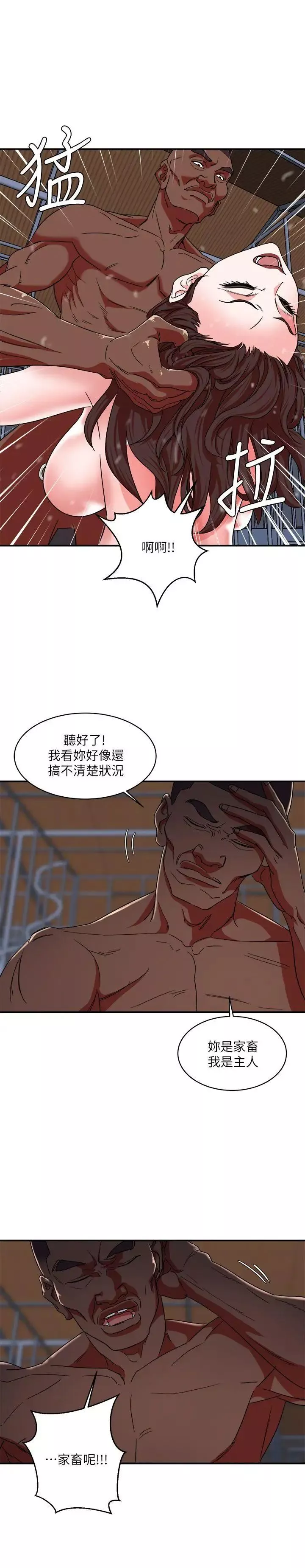母豬養成計畫第4話-調教