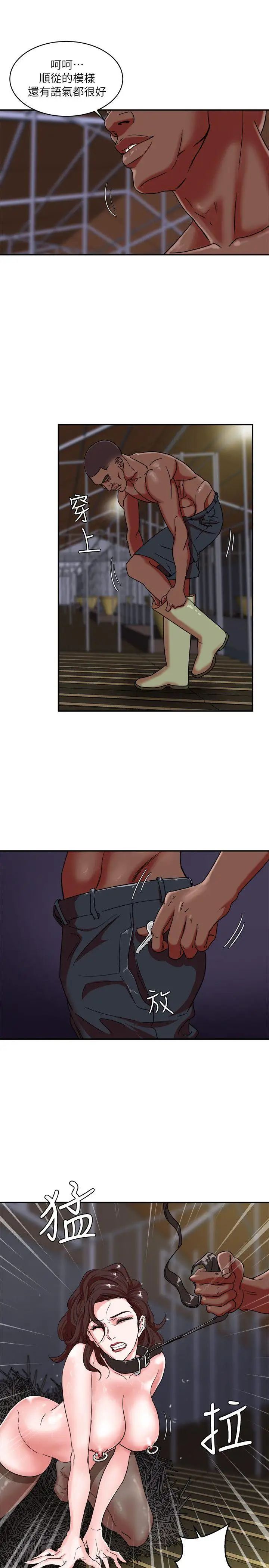 母豬養成計畫第4話-調教