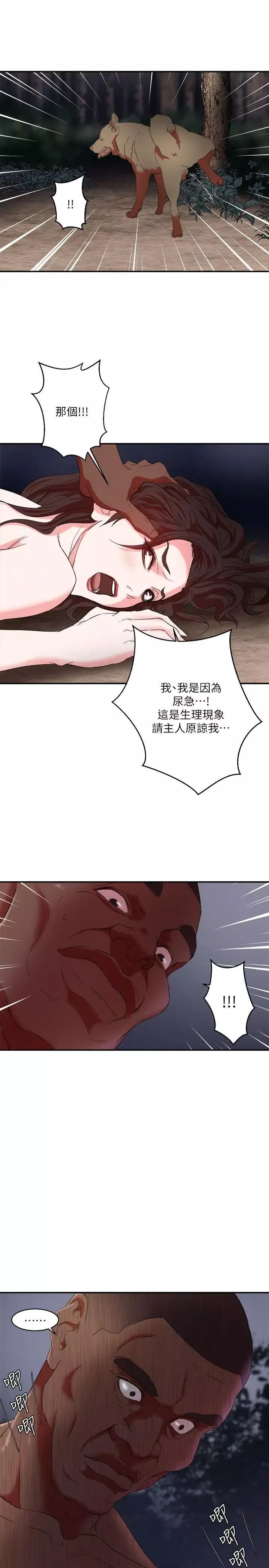 母豬養成計畫第5話-服從
