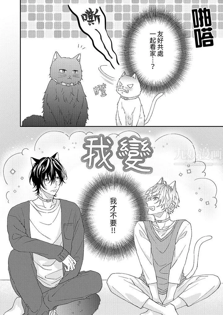 哈魯和路伊的二喵世界lovelife！第1話