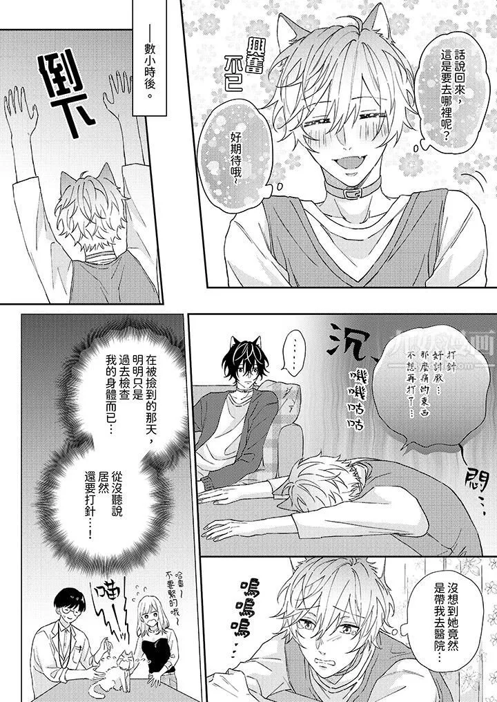 哈鲁和路伊的二喵世界lovelife！-第1话 - 图片 12