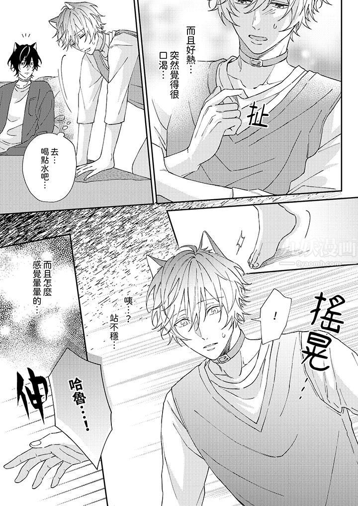 哈鲁和路伊的二喵世界lovelife!第2话