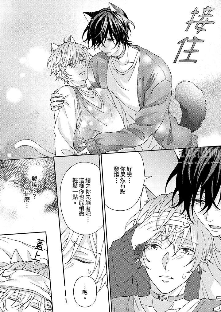 哈鲁和路伊的二喵世界lovelife!第2话