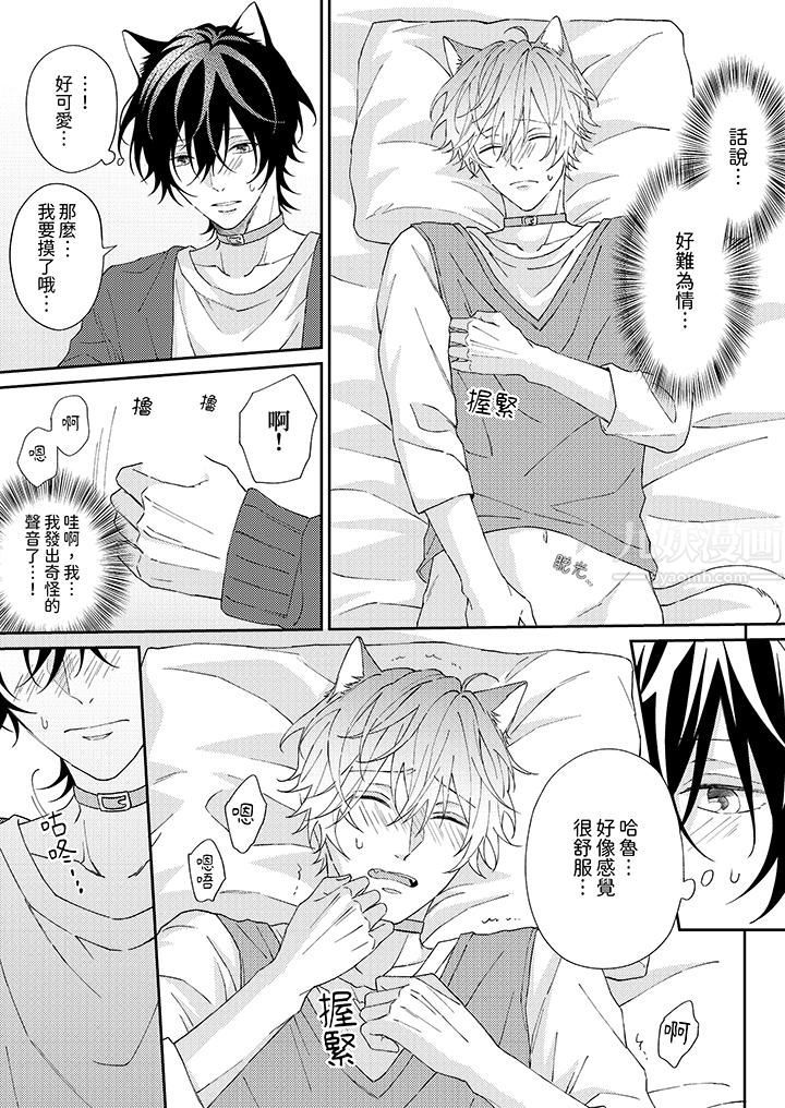 哈魯和路伊的二喵世界lovelife！第2話