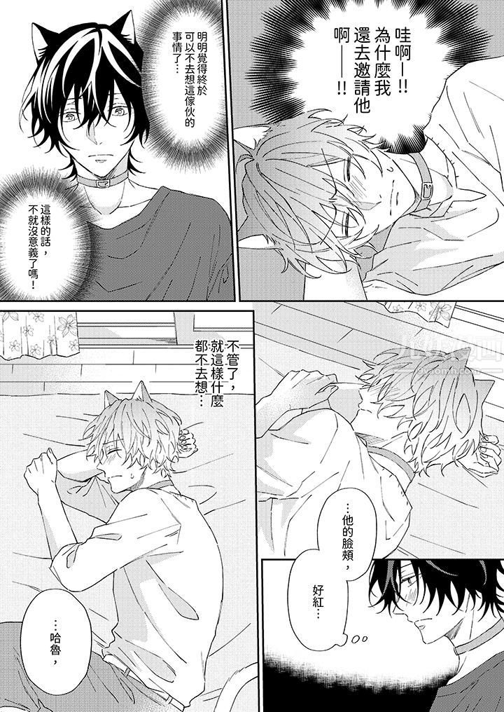 哈鲁和路伊的二喵世界lovelife！第3话