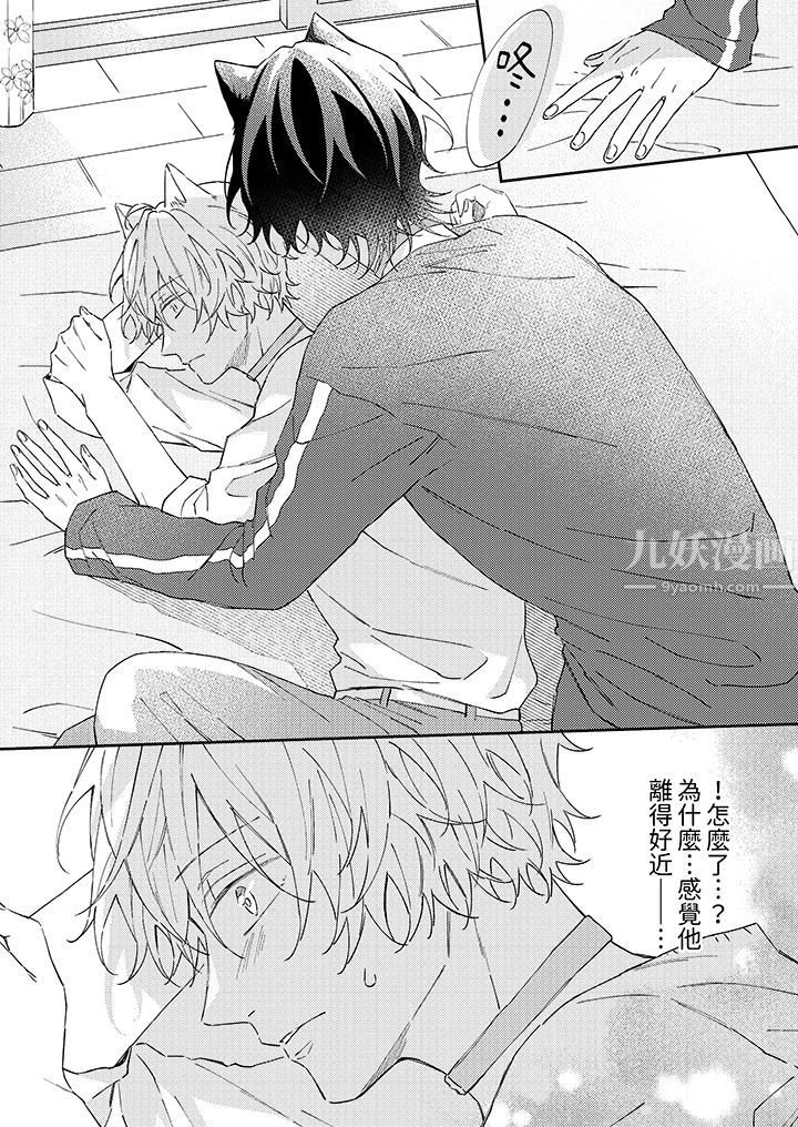 哈魯和路伊的二喵世界lovelife！第4話