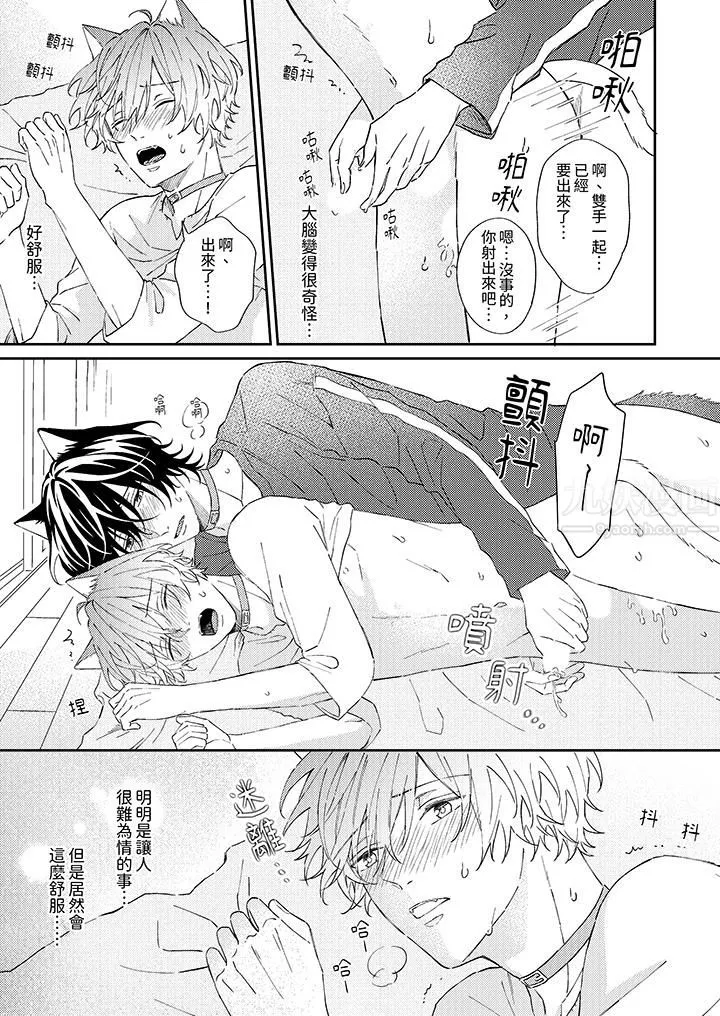 哈魯和路伊的二喵世界lovelife！第4話