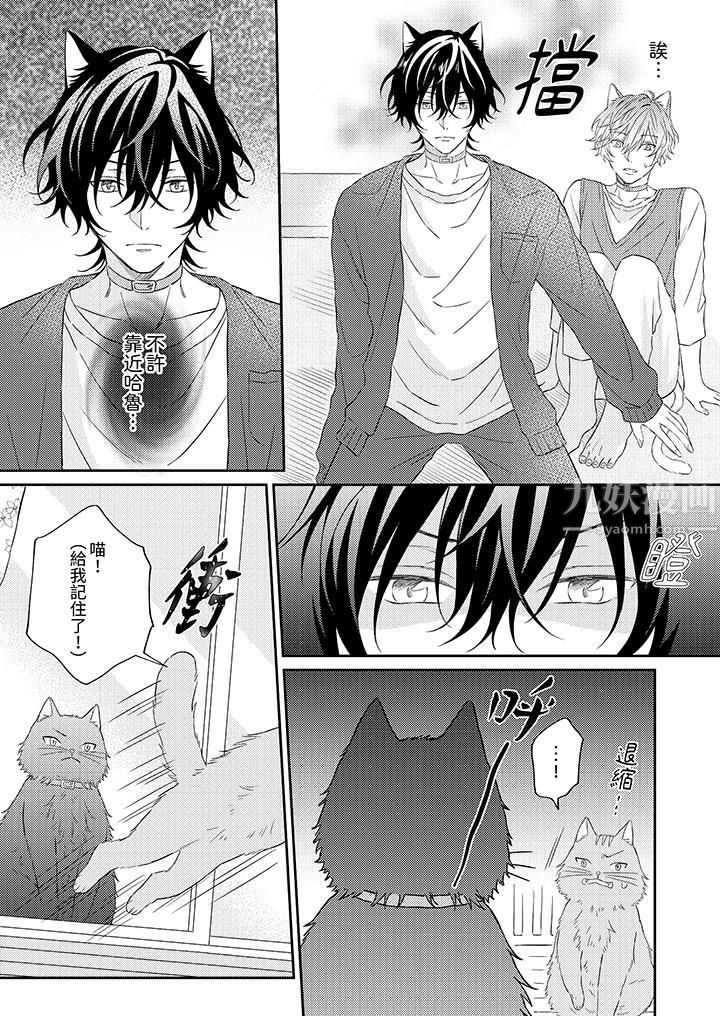 哈鲁和路伊的二喵世界lovelife！第5话