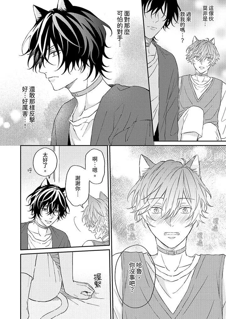 哈魯和路伊的二喵世界lovelife！第5話