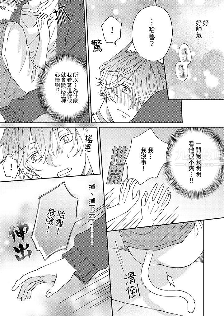 哈鲁和路伊的二喵世界lovelife！第5话