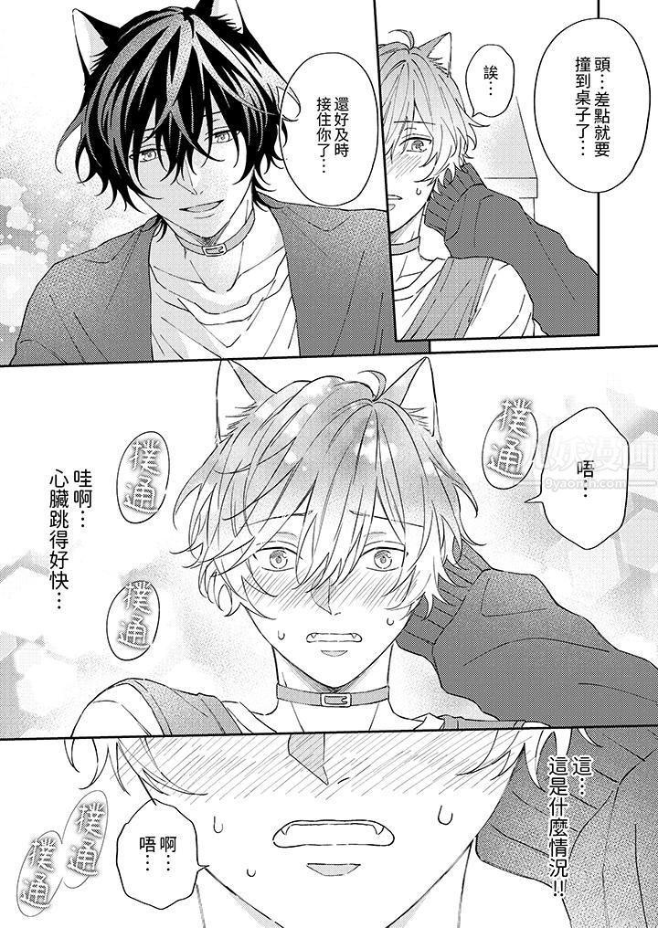 哈鲁和路伊的二喵世界lovelife!第5话