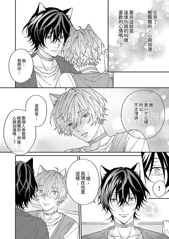 哈鲁和路伊的二喵世界lovelife！-第6话 - 图片 3