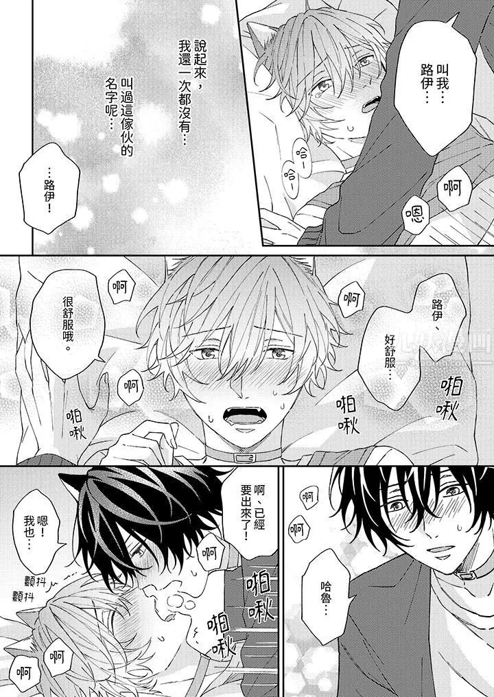 哈魯和路伊的二喵世界lovelife！第6話