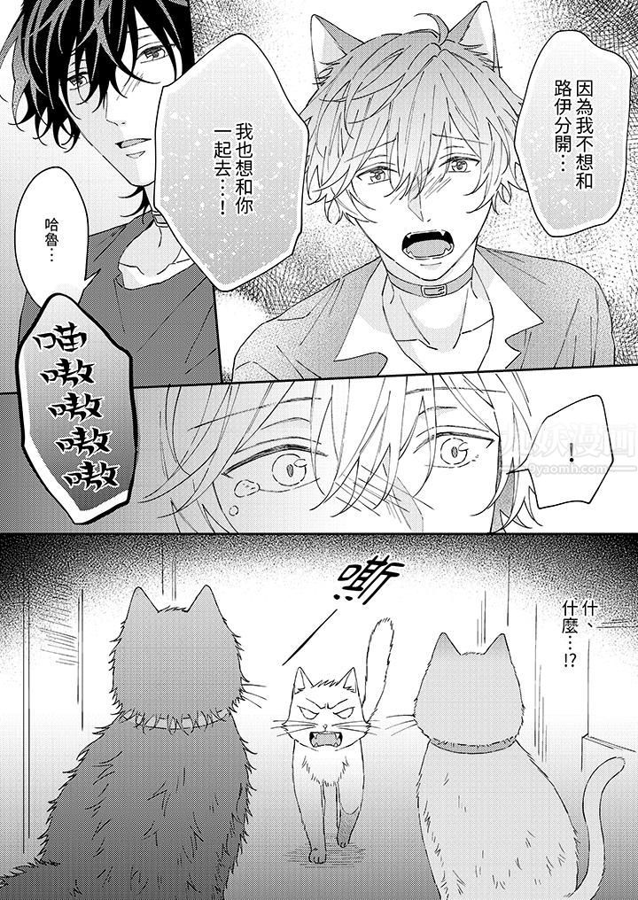 哈鲁和路伊的二喵世界lovelife！第9话