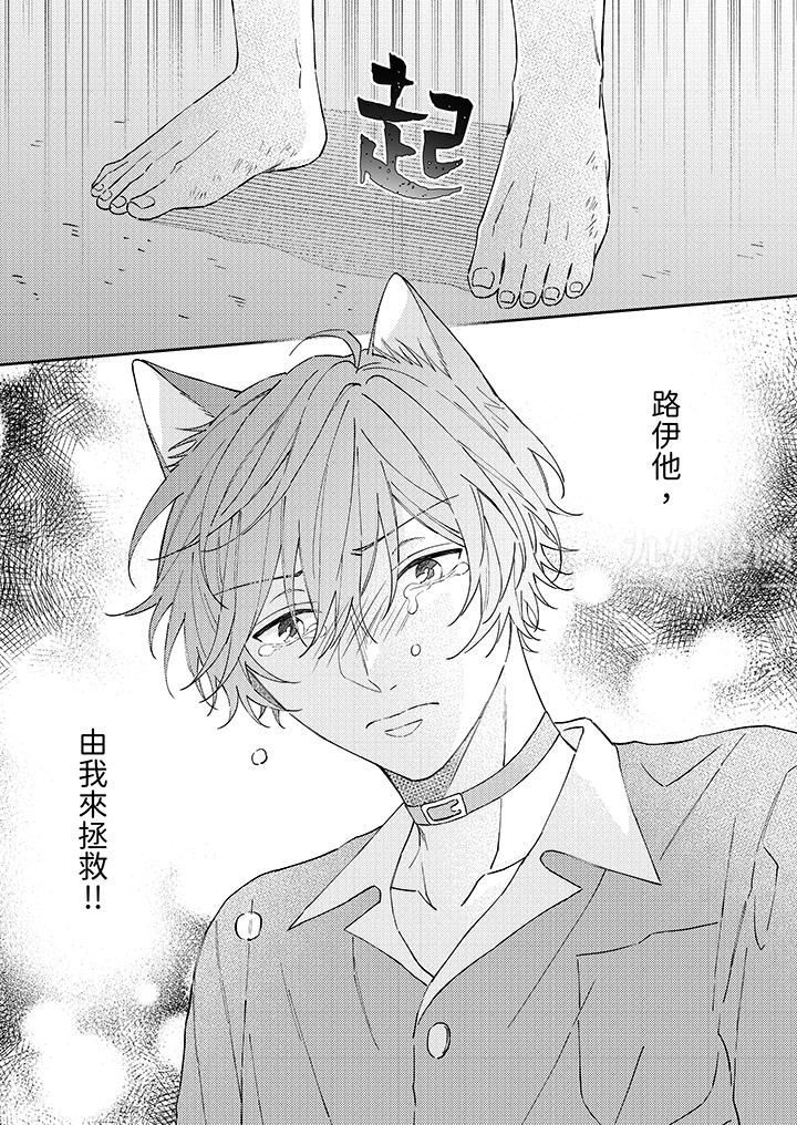 哈鲁和路伊的二喵世界lovelife!第10话
