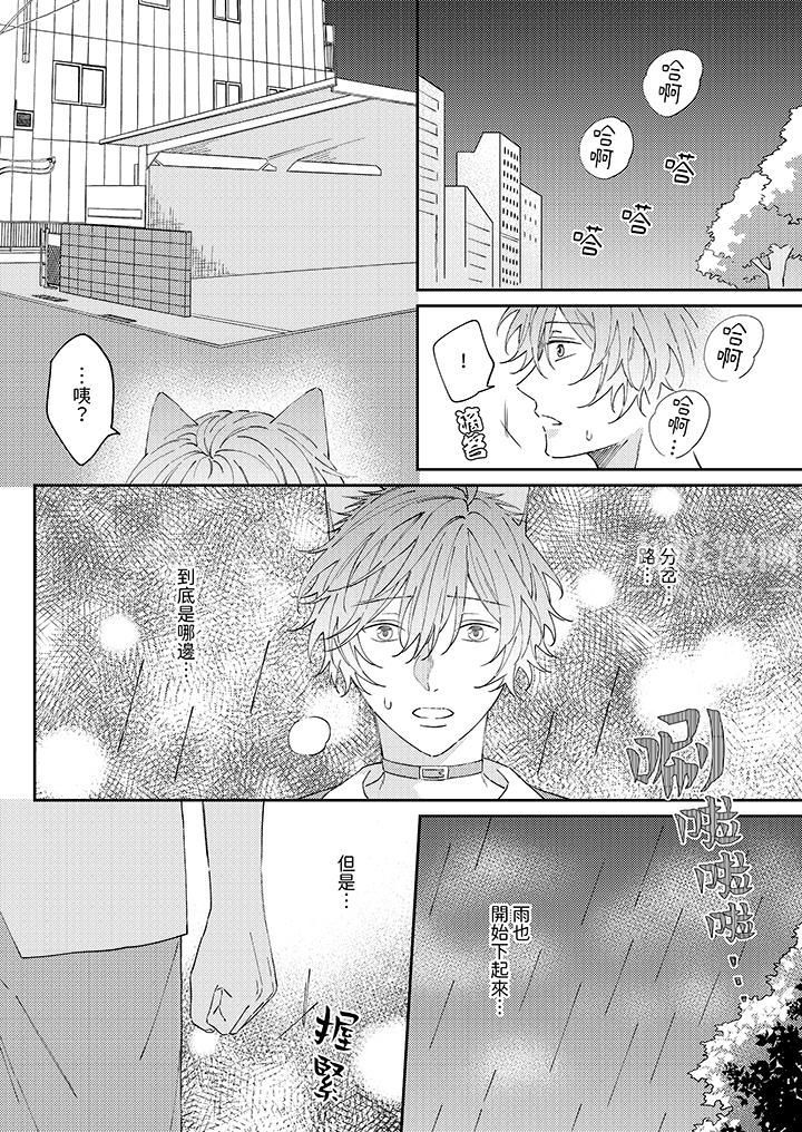 哈鲁和路伊的二喵世界lovelife！第11话