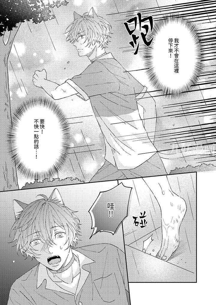 哈鲁和路伊的二喵世界lovelife!第11话