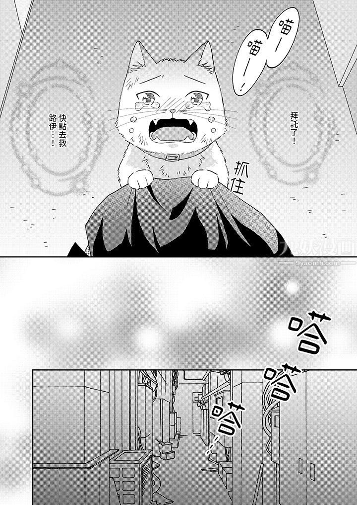 哈鲁和路伊的二喵世界lovelife!第11话