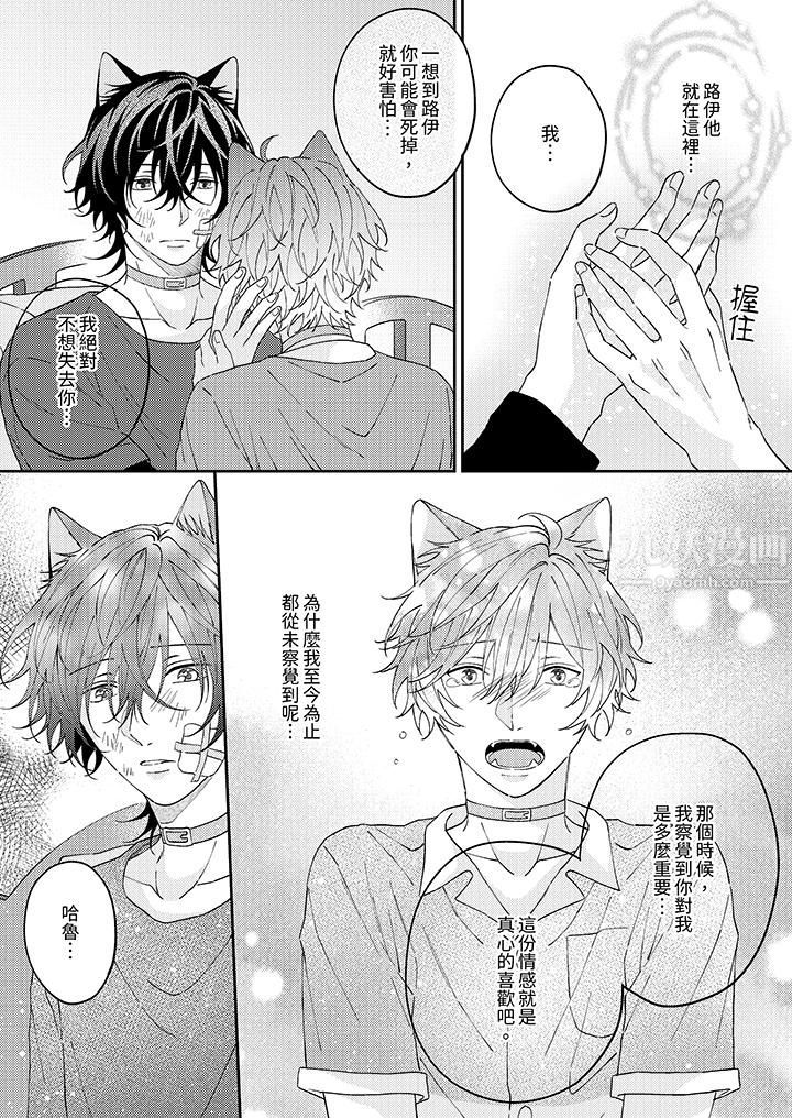 哈鲁和路伊的二喵世界lovelife!第12话