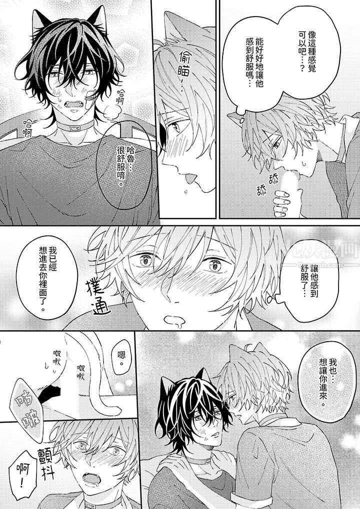 哈鲁和路伊的二喵世界lovelife!第12话