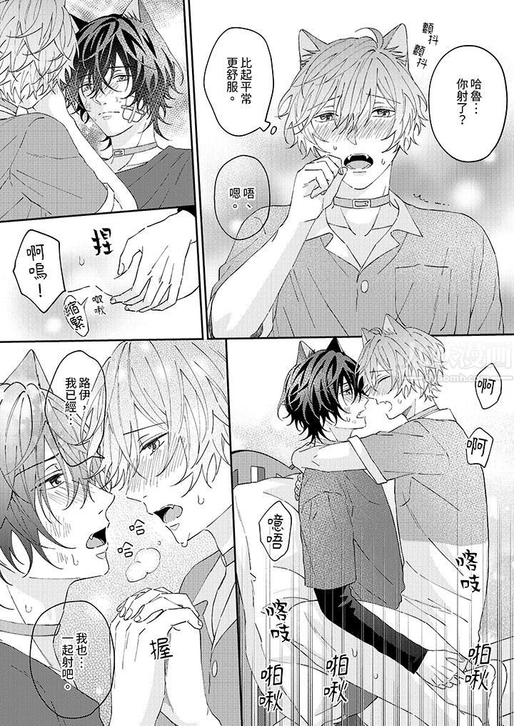 哈鲁和路伊的二喵世界lovelife!第12话