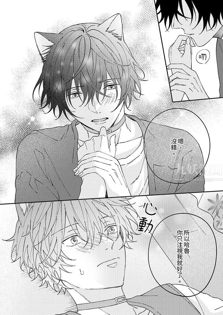 哈鲁和路伊的二喵世界lovelife！第13话