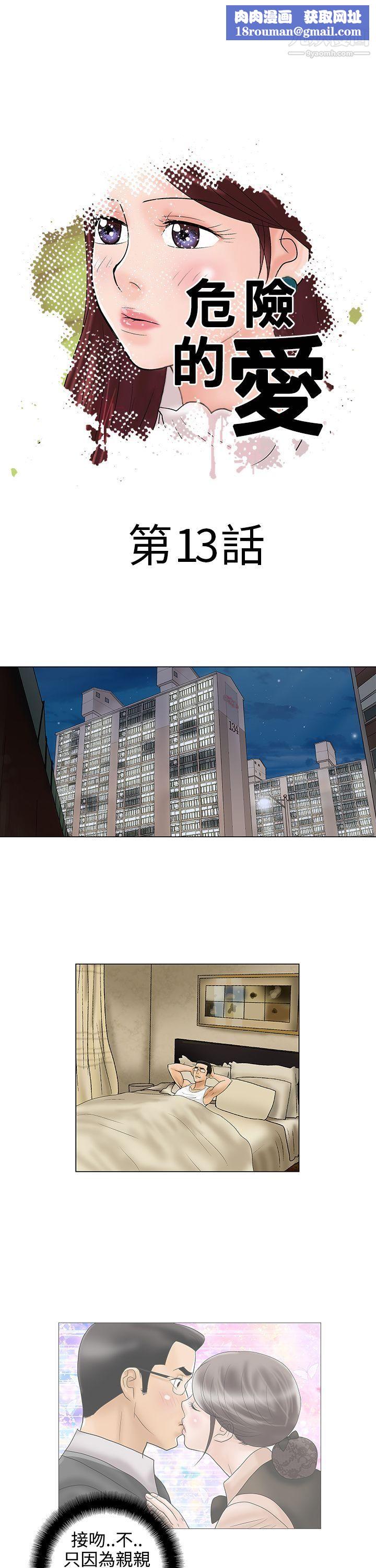 危险的爱第13话