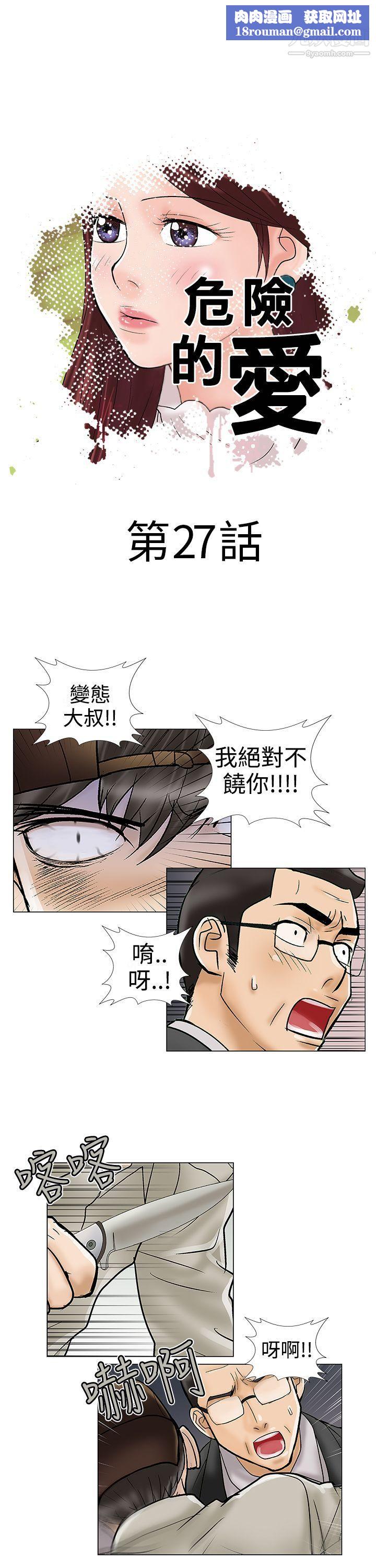 危险的爱第27话