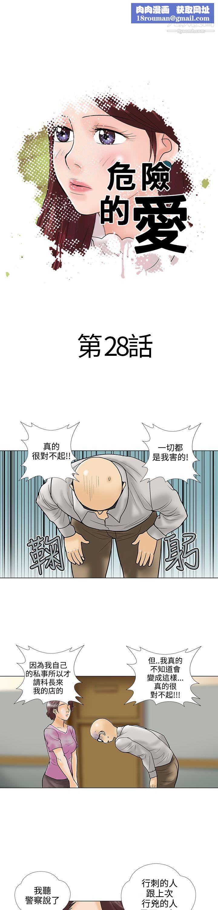 危险的爱第28话