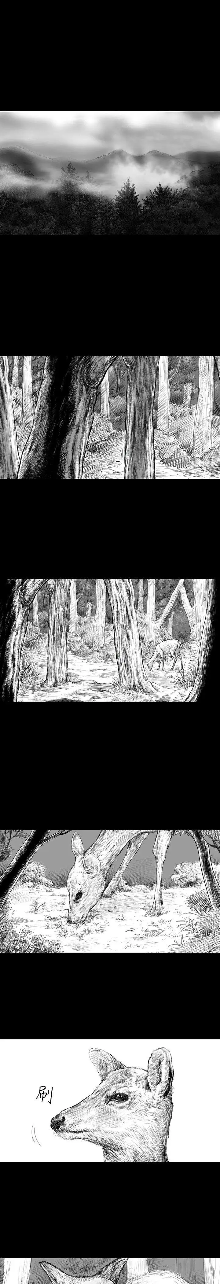 SEEDTheBeginning第1话