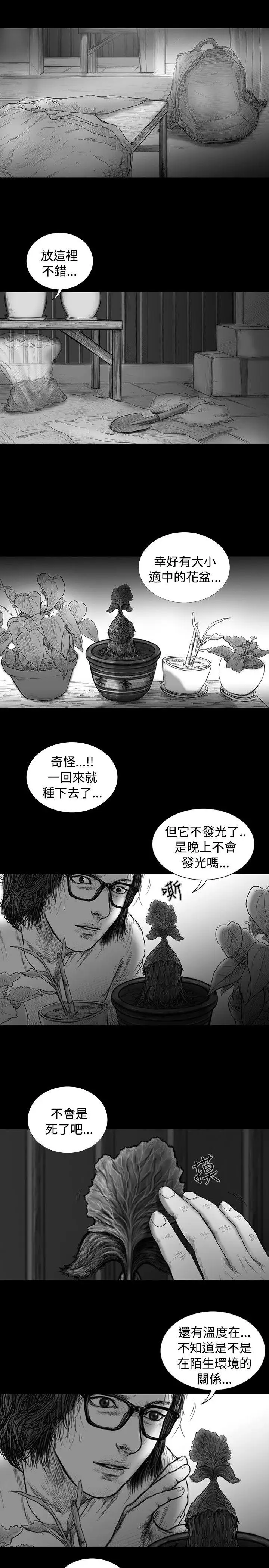 SEEDTheBeginning第10话