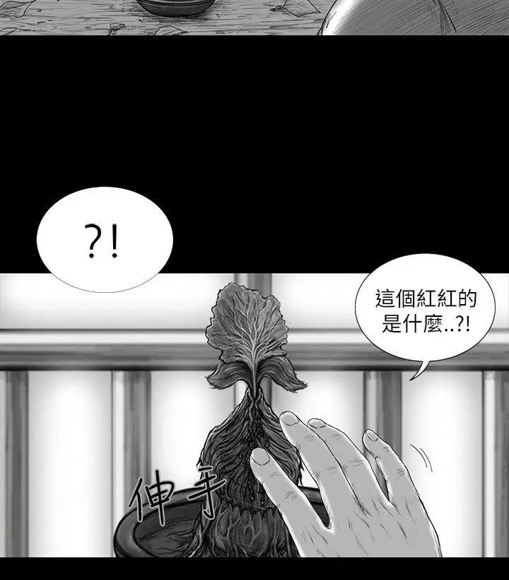 SEEDTheBeginning第12话