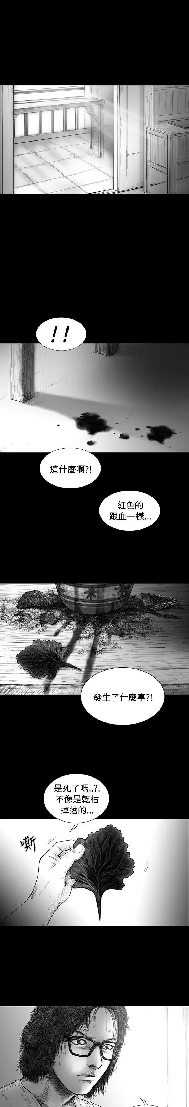 SEEDTheBeginning第15話