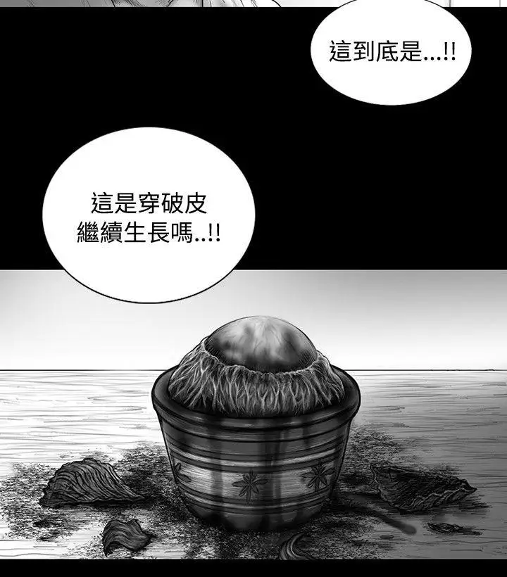 SEEDTheBeginning第15话