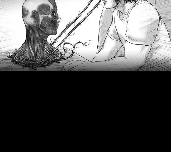 SEEDTheBeginning第19话