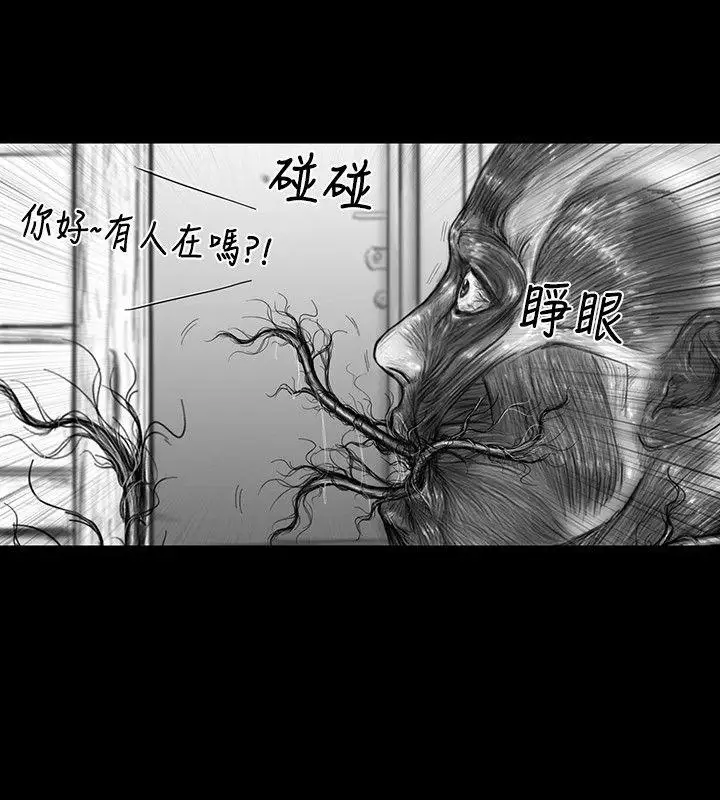 SEEDTheBeginning第20話