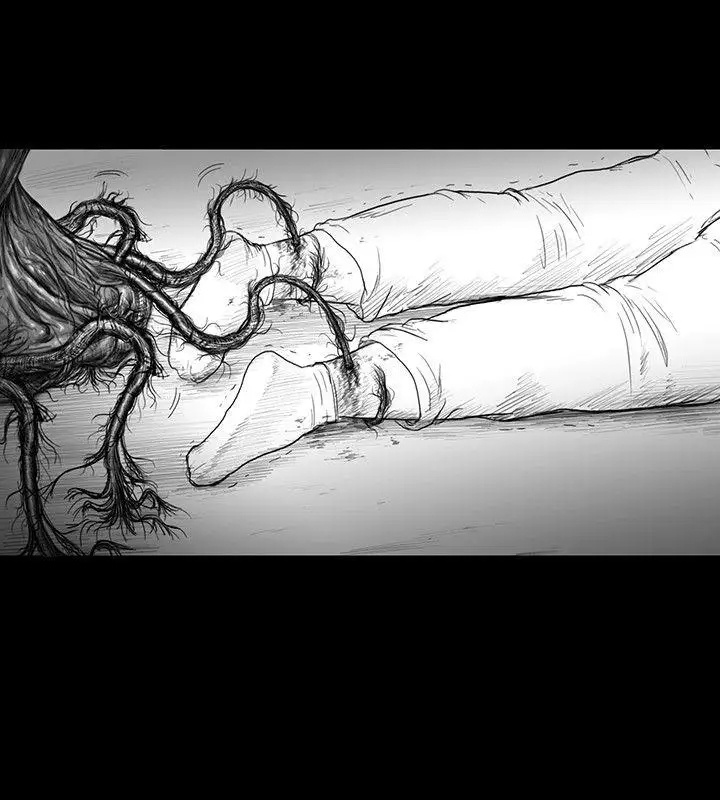 SEEDTheBeginning第21话