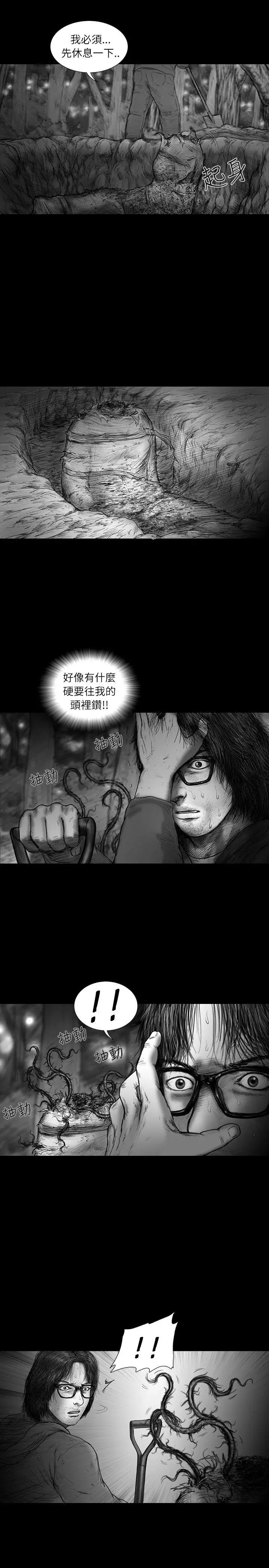 SEEDTheBeginning第29话