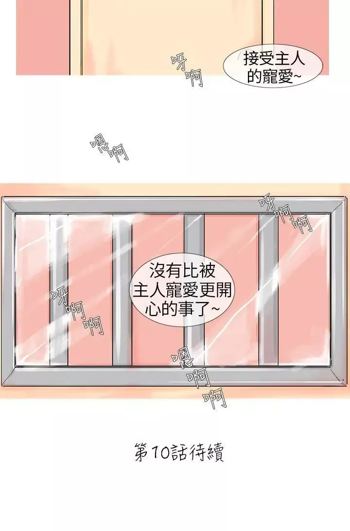 小野貓馴服手冊第9話