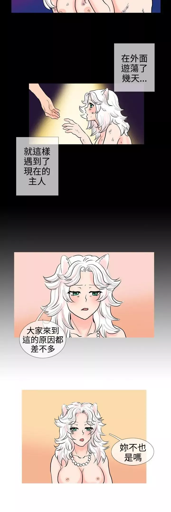 小野貓馴服手冊第11話