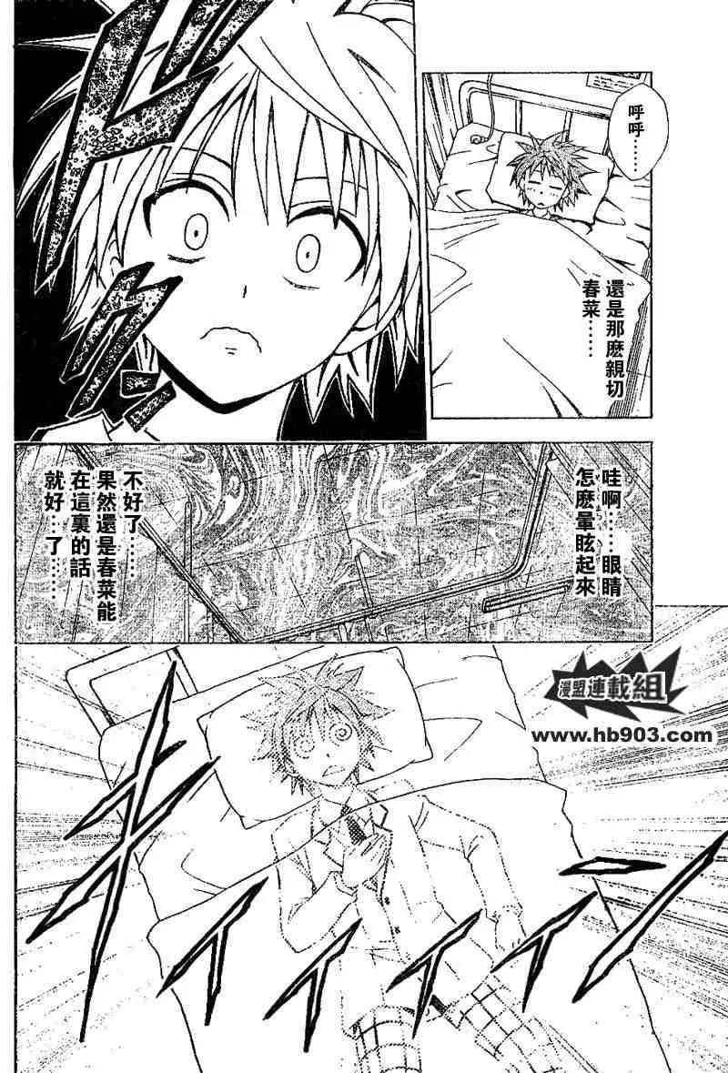 出包王女tolove028集