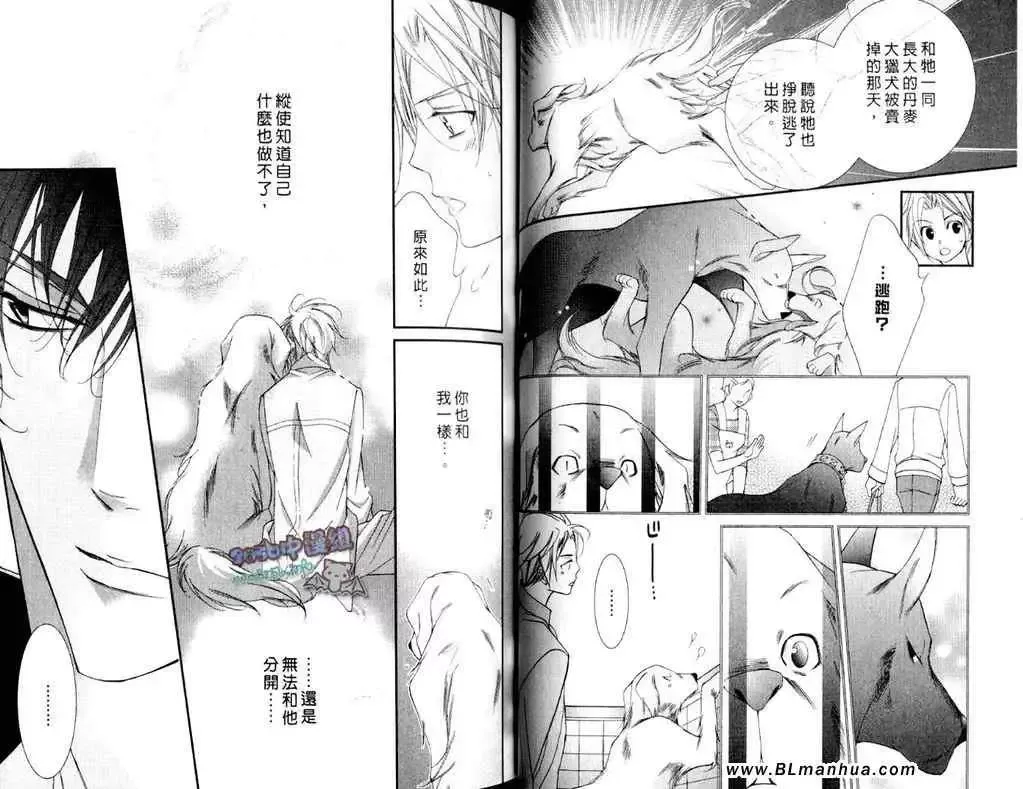爱与欲望之学园第11卷