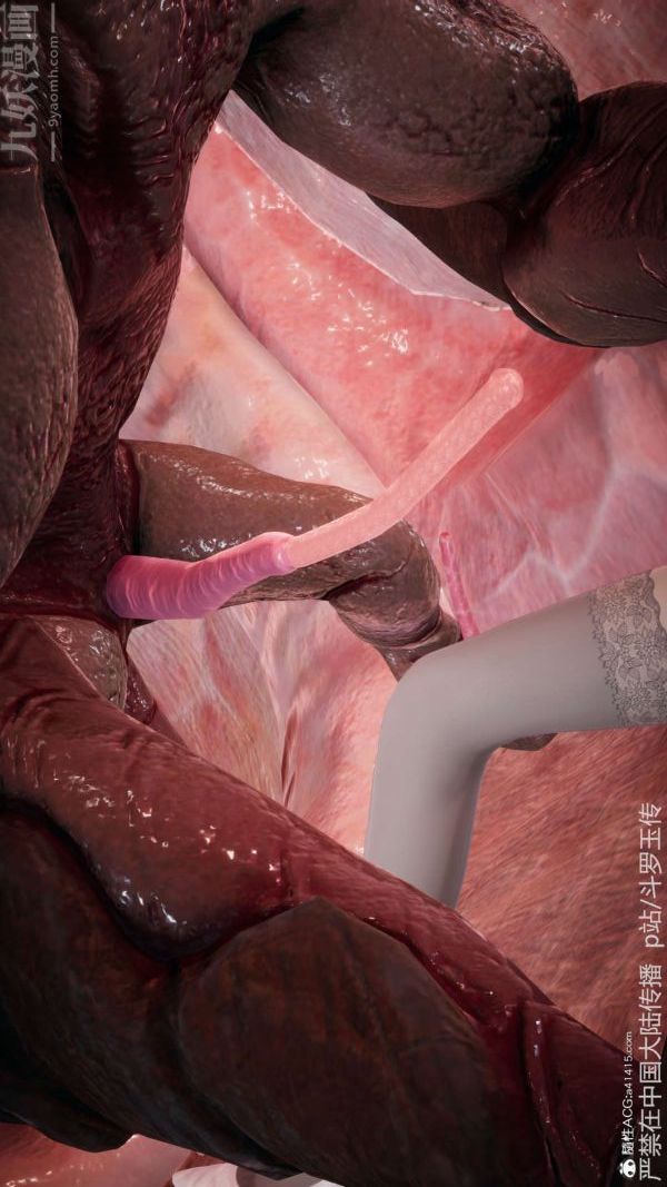 [3D]斗罗玉传第21章-遇袭06话