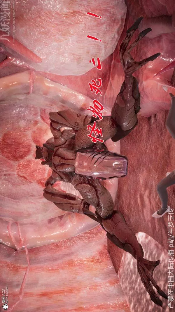 [3D]斗罗玉传-第22章-返程01话 - 图片 19